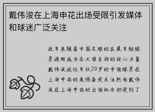 戴伟浚在上海申花出场受限引发媒体和球迷广泛关注